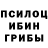 Галлюциногенные грибы мицелий Vira Popovysh
