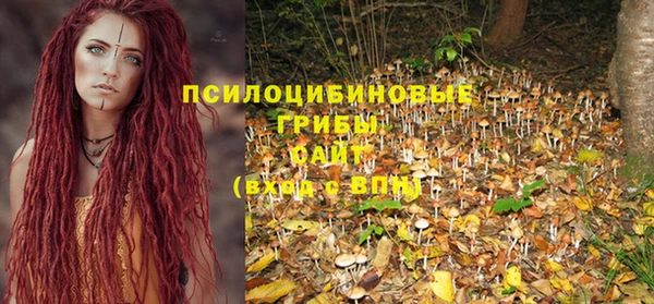 круглые Алексеевка